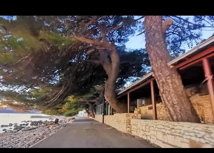 Clementina Sunrise-studio With Balcony *